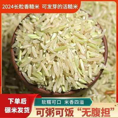 长粒香糙米24年晚造新农家新鲜现磨辅食杂粮胚芽健身代餐饱腹玄米