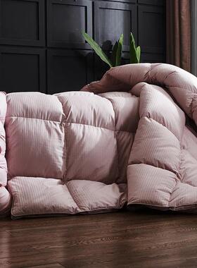 端55385546全棉9音5白绒羽鹅绒被静加厚冬被子秋被芯100高支纯棉