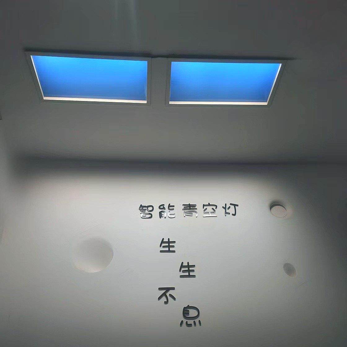 晴空灯蓝天灯嵌入式过道厨房智能灯卧室自然光卫生间天窗天空灯