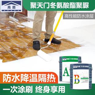 高盾天冬纯聚脲屋面防水补漏涂料楼顶堵漏外墙裂缝防漏胶透明材料