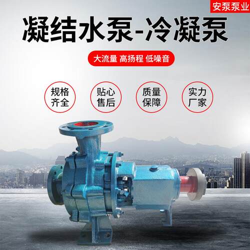 山东4N6*2凝结水泵冷凝泵电厂化工用工业冷凝泵