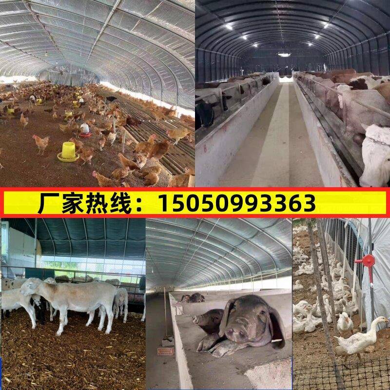 养殖大棚骨YUG架钢管养全套殖鸡鸭用鹅猪牛套羊大棚全食菌温室大