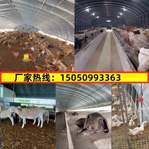 养殖大棚骨YUG架钢管养全套殖鸡鸭用鹅猪牛套羊大棚全食菌温室大