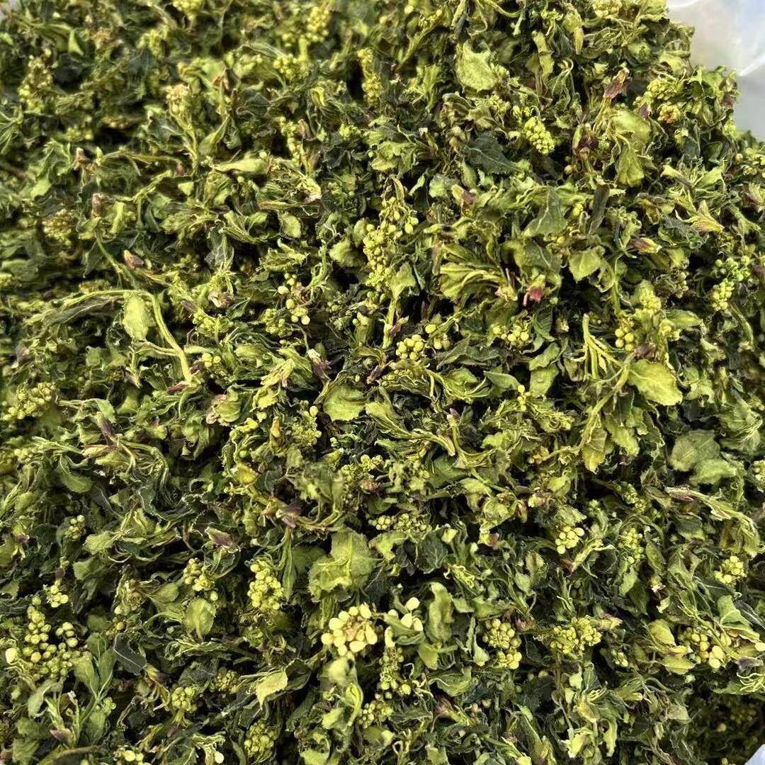 珍珠花菜山野菜野山珍干货农家手工晾晒天然干菜珍珠菜散装