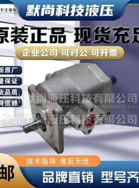 淮安长江液压齿轮泵GPY/GPYZ-3/4/5.8/7/8/9/10/11.5国产精装油泵