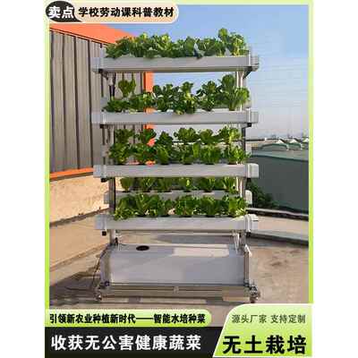 NFT无土栽培蔬菜草莓种植双面垂直架水培设备阳台水耕多层种菜机