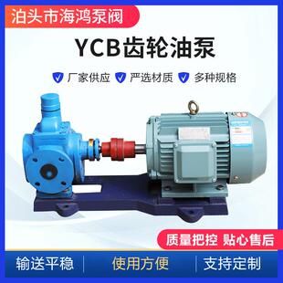 YCB圆弧齿轮泵厂家供应ycb10化工圆弧齿轮泵卧式铸铁齿轮泵