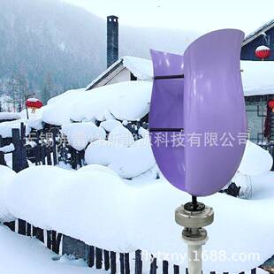 紫色600瓦12v24v郁金香花朵型风力发电机微风启动美观 新款