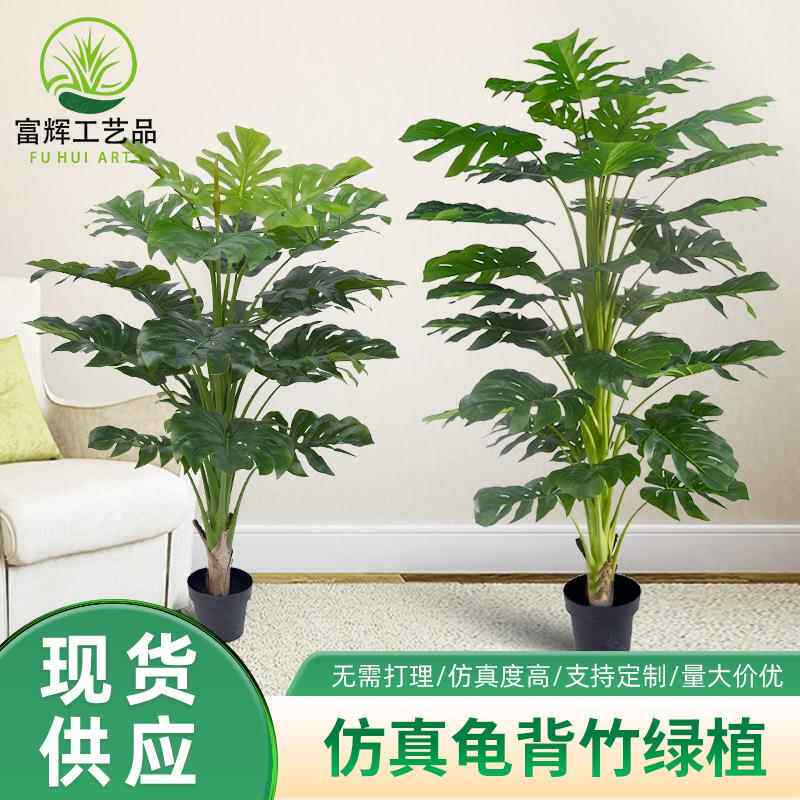 仿真龟背竹绿植客厅大盆栽现货高端假植物盆栽蓬莱蕉塑胶龟背叶