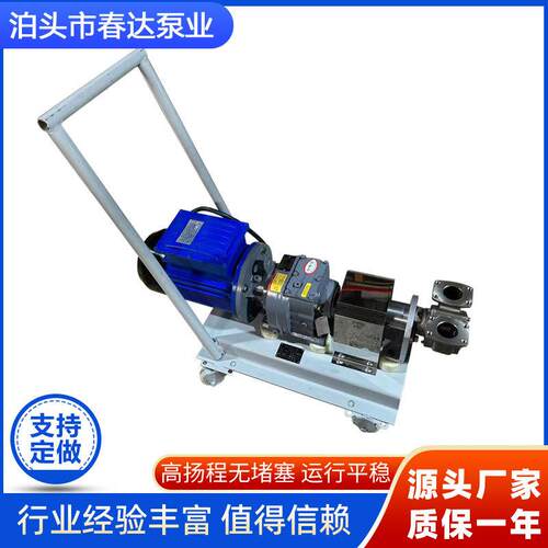 不锈钢高粘度转子泵NYP2.3小流量高粘度泵输送泵保温凸轮双转子泵