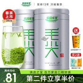 2024新茶毛尖茶叶，绿茶特级明前春茶浓香，散装茗茶自己喝