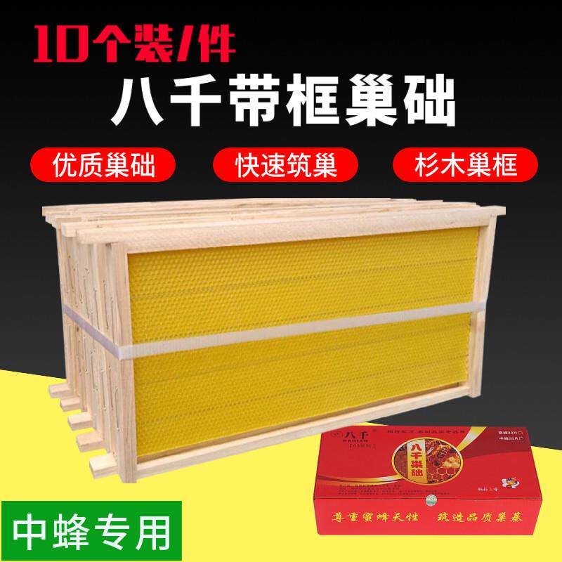 八千成品巢框中蜂意蜂巢础带框蜂巢蜜蜂巢脾杉木蜂箱专用10个装