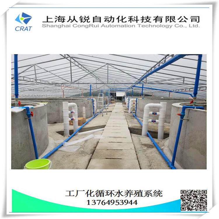 上海从锐大型1000㎡养虾设备/罗氏沼虾循环水高密度养殖系统体系