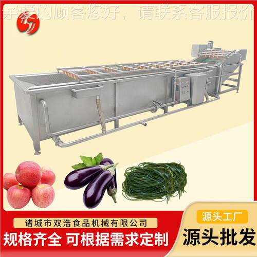 果蔬洗气泡清机全自DPW动泡腌渍菜毛豆毛桃清鼓设备山药洗去杂清