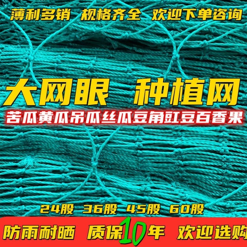 植物爬藤网攀爬网山豆角黄瓜苦瓜百香果豇豆丝瓜吊瓜种植网农用