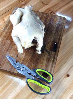 用剪刀食物剪TAIYANG多烤肉家剪厨房剪刀A906A功能不锈钢强力鸡骨