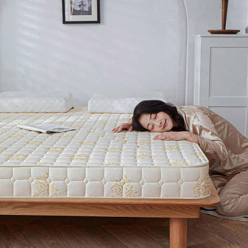 加厚床垫家用铺底床垫子1.8米学生宿舍单人床褥子1.5m打地姜武,住宅家具,其他床垫,淘宝优惠券,粉丝福利购,淘宝优惠卷