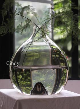 cindy美学北欧简约高级感吊钟马醉木大号落地玻璃花瓶网红大肚瓶