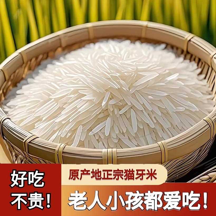当季晚稻新米广西猫牙香米梯田大米煲仔饭炒饭农家长粒5/10斤