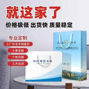 房产手提袋定制小批量人寿礼品袋订做培训班纸袋美术画室教育定做