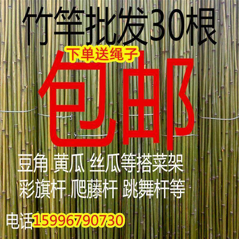 新疆西藏包邮小竹子细竹竿菜园搭架户外篱笆豆角架竹棍2米彩旗杆