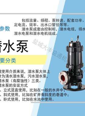移动污泥抽水泵潜水泵 防爆潜水排污泵EXdIIBT4防爆等级
