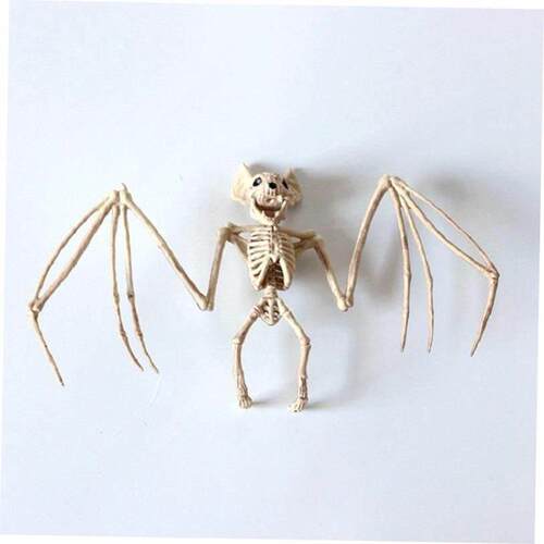 Halloween Decoration Animal Skeleton Hallowmas House Party O