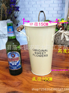 鲜花鲜花养花干花花盆装饰摆件