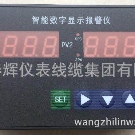 双回路数字显示XMTA-9000数字控制调节仪