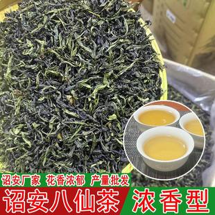 诏安八仙茶新茶惠来高山茶红场黄旦大坪土山茶高山茶叶清香型春茶