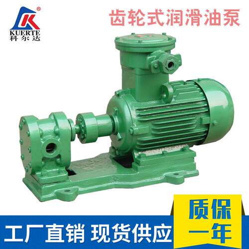 齿轮泵厂家直供2CY齿轮式输油泵耐腐蚀润滑泵不锈钢润滑齿轮泵
