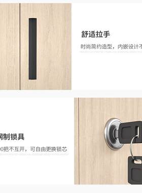 ZY-WJG 文件柜铁皮柜钢制办档案资料放柜公器械收纳柜书黄柜色木