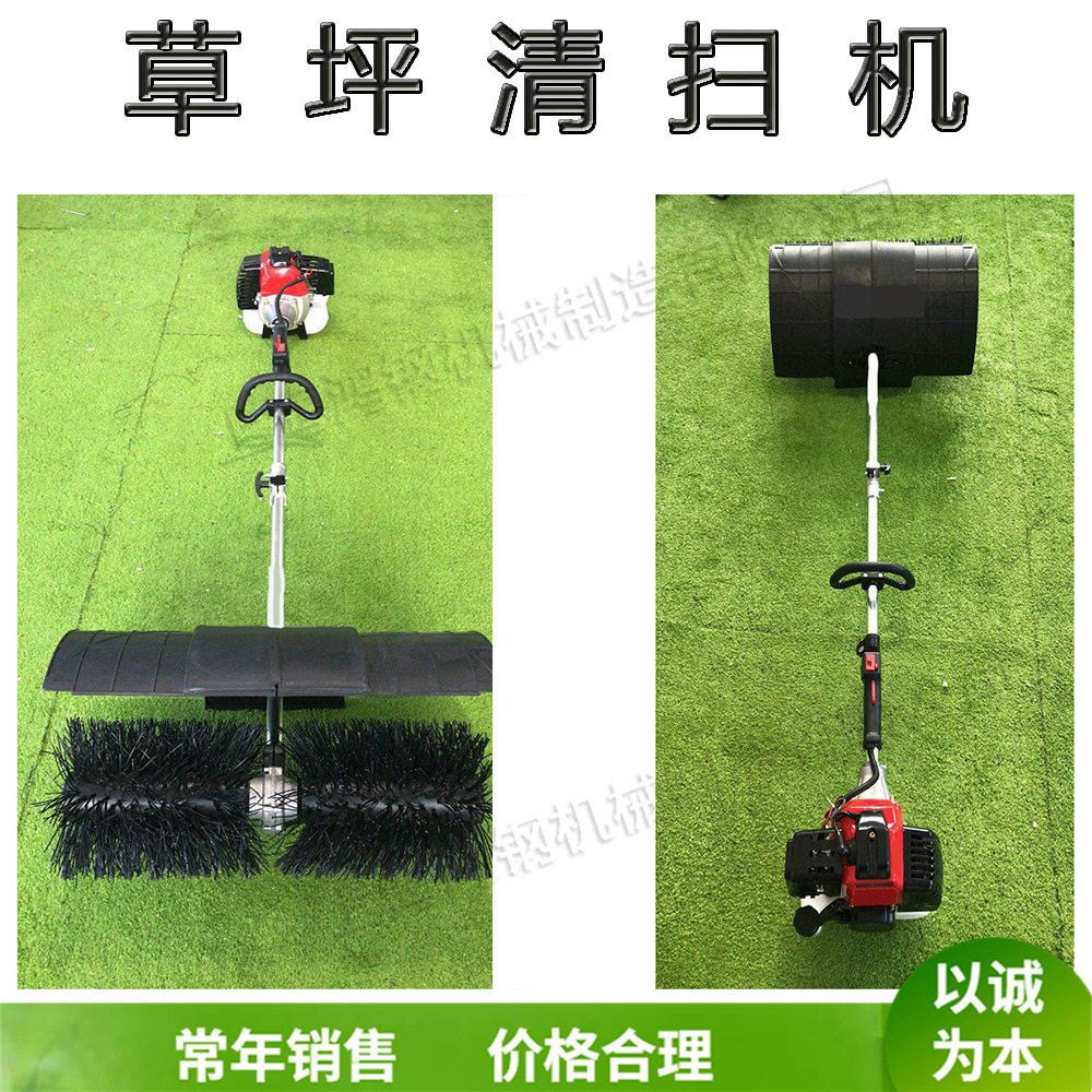 手推式草地清扫机小型人造草坪梳理设备足球场草皮垃圾清理机