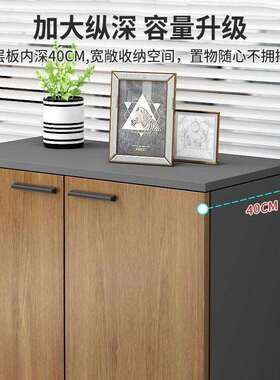 办公室文件柜档案资柜柜收纳置槽物柜储物书XLS花柜子料木质隔断