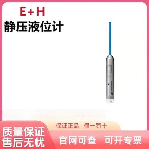 E+H静压式液位计FMX11-CA11HS10 FMX21投入式水位计原装正品
