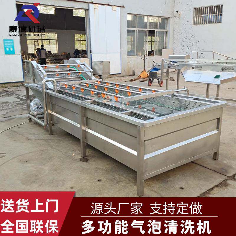 黑加仑去沙气泡清洗机小鲳鱼加工清洗设备连续式鱼片鼓泡清洗机