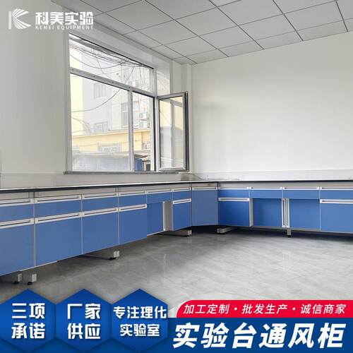 厂家供应学校实验室设备桌实验室操作台医院化验室工作台