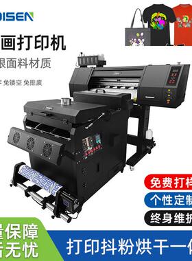 DISEN自动喷墨DTF打印机 彩色T恤数码印花柯式白墨烫画打印机厂家
