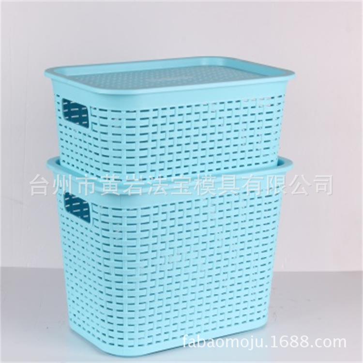 藤条多颜色不同尺寸储物箱塑料模具带盖子塑料箱收纳箱塑料模具