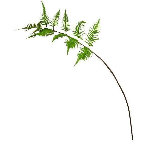 仿真猴头蕨新款蕨草绿植热带植物蕨草盆栽金丝猴头蕨盆景假花