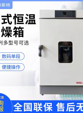 天津泰斯特WGL-D/L/T恒温干燥箱立式实验室小型烘箱