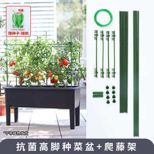 大种种菜泽种菜林长方形新款高脚阳台花盆欧箱盆蔬菜大植种植