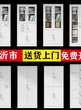 临沂市钢制文件柜铁皮柜矮柜办公室带锁员工凭证档案资料柜更衣柜