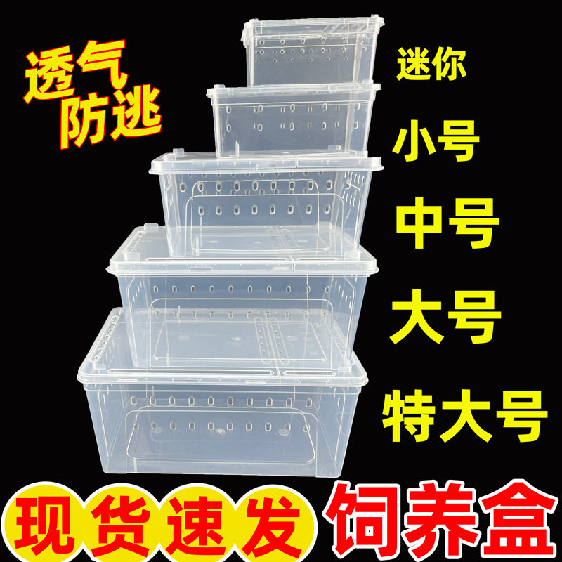 寄居蟹爬虫饲养其它水族用具设备