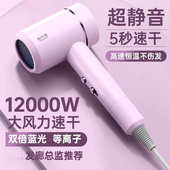 电吹风机家用高速大功率静音速干负离子护发冷热风风筒发廊大风力