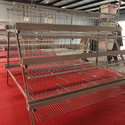 阶梯蛋鸡笼三层四层层多镀锌丝QVN鸡笼子 字A层叠蛋型鸡笼养殖场