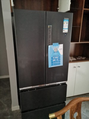 海尔BCD-411WDSKU1怎么样？用后一年不后悔有必须分享下感受