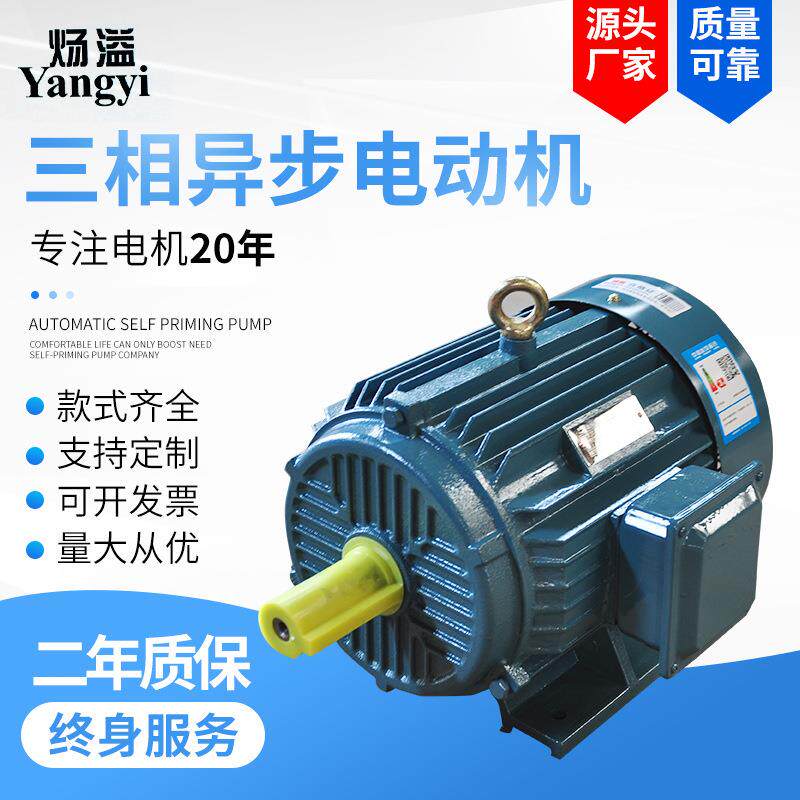 Y132M-8极3W三相异步电动机低速马达B35全铜线圈卧式