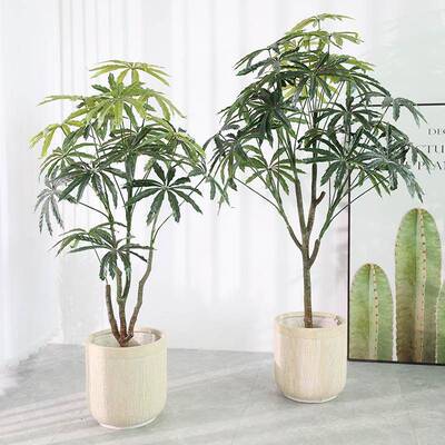 仿真孔雀木仿真树仿真绿植仿真盆栽仿真八角叶树仿真树盆景