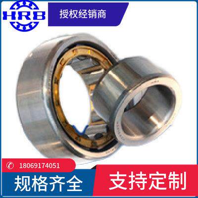 HRB 新型号 RN307 M 摆线针减速 502307H哈尔滨轴承偏心套圆柱滚